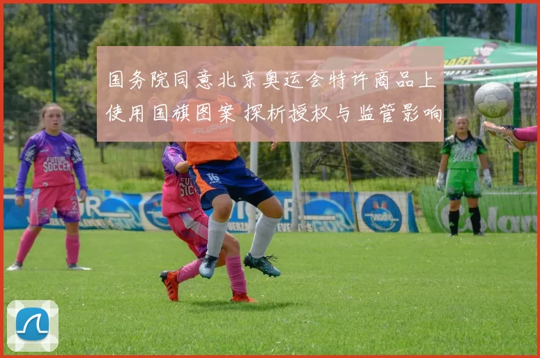 国务院同意北京奥运会特许商品上使用国旗图案 探析授权与监管影响