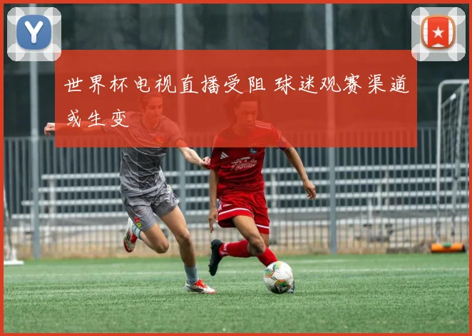 世界杯电视直播受阻 球迷观赛渠道或生变