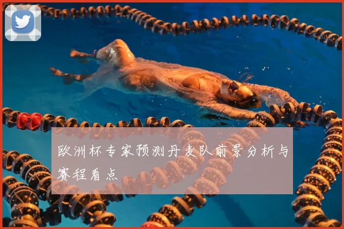 欧洲杯专家预测丹麦队前景分析与赛程看点