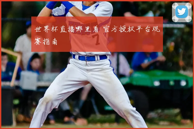 世界杯直播哪里看 官方授权平台观赛指南
