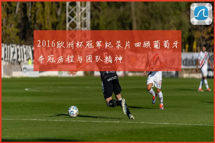 2016欧洲杯冠军纪录片回顾葡萄牙夺冠历程与团队精神